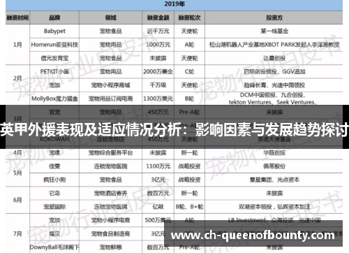 英甲外援表现及适应情况分析:影响因素与发展趋势探讨 英甲外援表现及适应情况分析:影响因素与发展趋势探讨