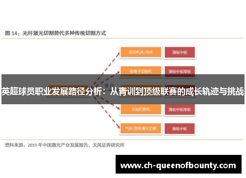 英超球员职业发展路径分析:从青训到顶级联赛的成长轨迹与挑战 英超球员职业发展路径分析:从青训到顶级联赛的成长轨迹与挑战