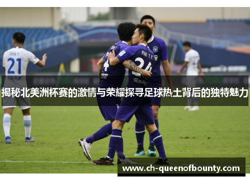 揭秘北美洲杯赛的激情与荣耀探寻足球热土背后的独特魅力