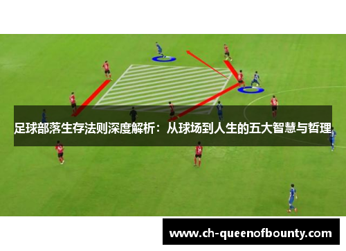 足球部落生存法则深度解析：从球场到人生的五大智慧与哲理