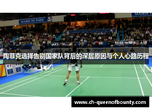 陶菲克选择告别国家队背后的深层原因与个人心路历程