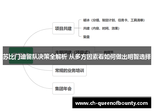 苏比门迪留队决策全解析 从多方因素看如何做出明智选择