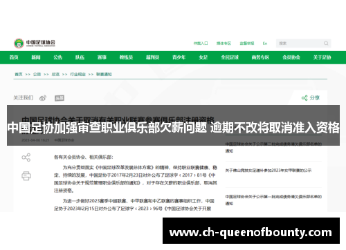 中国足协加强审查职业俱乐部欠薪问题 逾期不改将取消准入资格