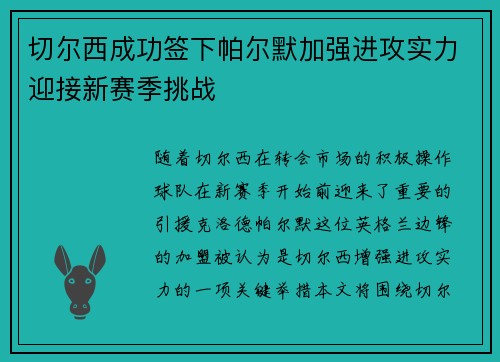切尔西成功签下帕尔默加强进攻实力迎接新赛季挑战